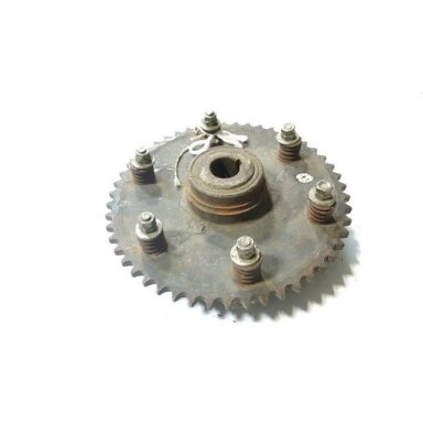 Apsaugos mechanizmas