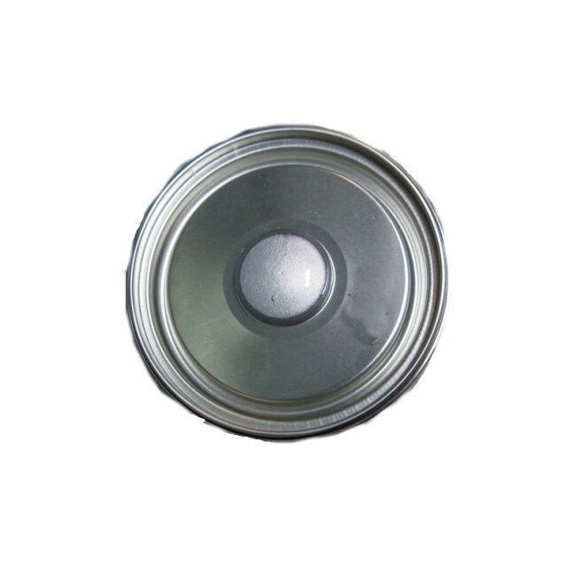 Dažai šviesaus aliuminio spalvos RAL9006, 1l