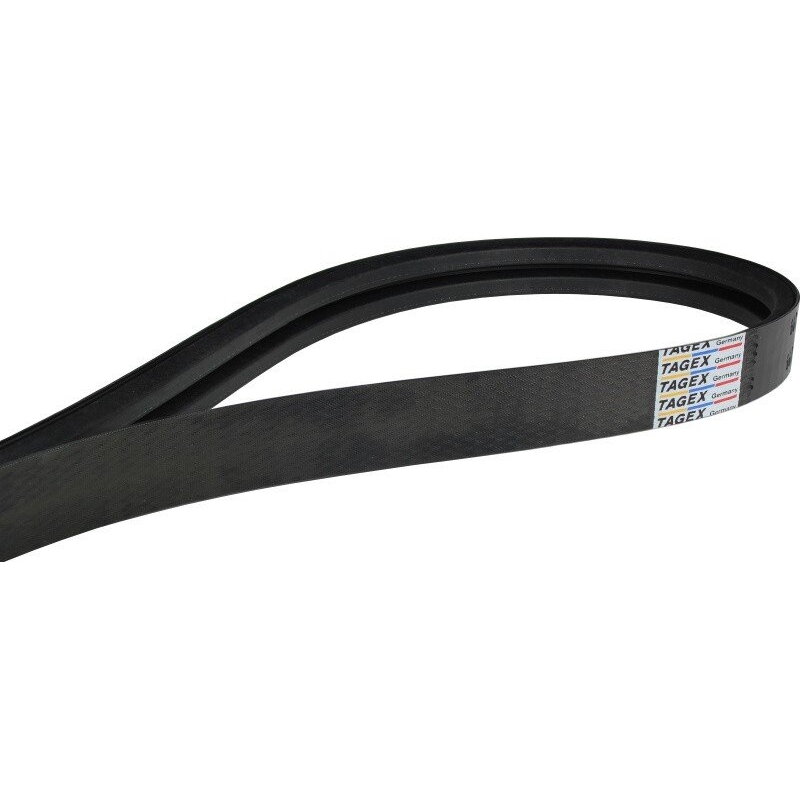 Dvieilis diržas 2HC 3110mm