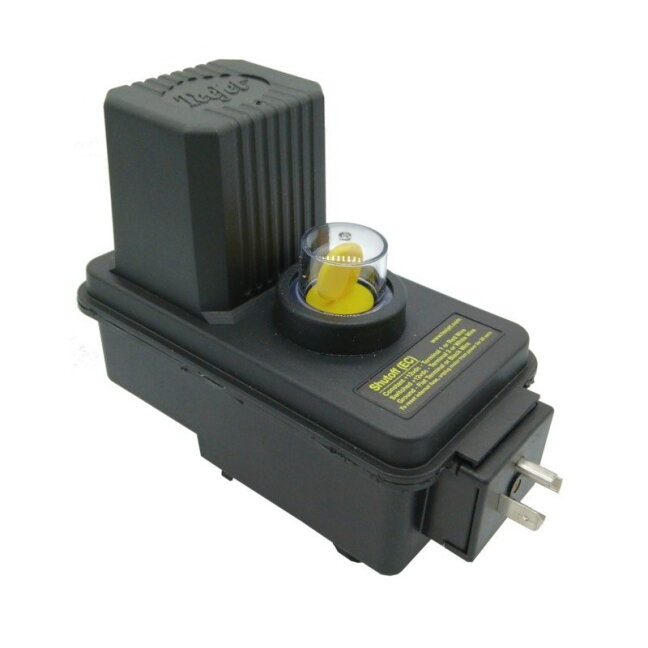Elektrinis variklis TeeJet 1