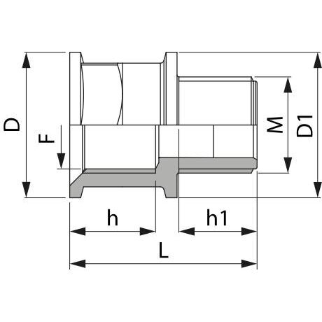 Perėjimas G 1 1/4" - 1 1/4" F 2452055 1