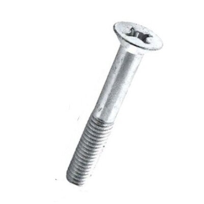 Sraigtas 8X70 DIN965