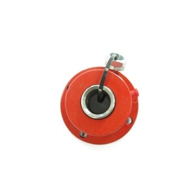 Stebulė