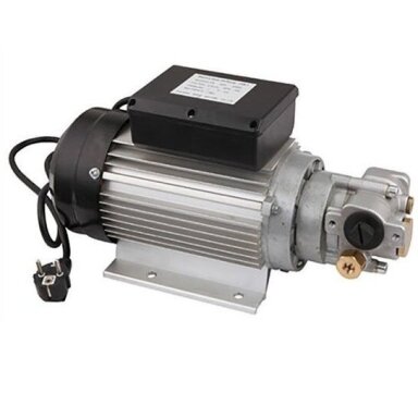 Tepalo perdavimo siurblys 220V